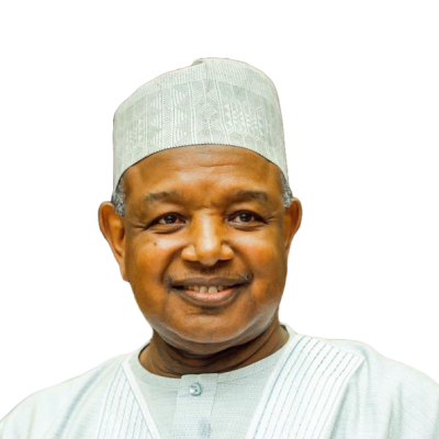 https://ifnotnowwhen.nesgroup.org/images/speakers/Bagudu.png